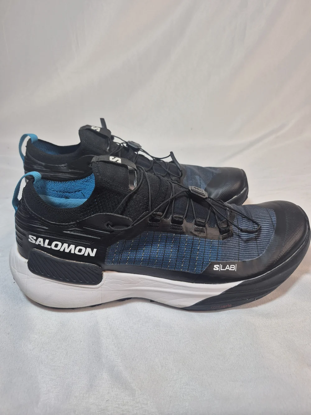 Salomon lab genesis